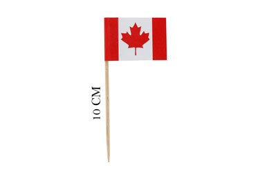 Mini Canada Toothpick Flag